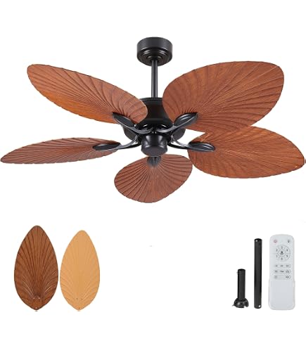 Amazon.com: Hinkley Tropic Air 52