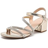 DADAWEN Women's Strappy Open Toe Rhinestone Low Block Chunky Heels Sandals Ankle Buckle Heeled Sandals Wedding Party Dress Pumps Shoes