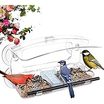 Mangeoire à Oiseaux Transparente Pour Fenêtre - Ventouses Puissantes, Plateau Amovible - Observation Facile