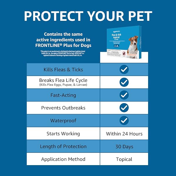 AMAZON BASICS FLEA AND TICK TOPICAL TREATMENT FOR MEDIUM DOGS (23-44 POUNDS), 6 COUNT (PREVIOUSLY SOLIMO)