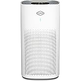 Clorox HEPA Air Purifiers for Home, True HEPA Filter, Large Rooms Up to 1,500 Sq Ft, Removes 99.9% of Mold, Viruses, Wildfire Smoke, Allergens, Pet Allergies, Dust, AUTO Mode, Whisper Quiet