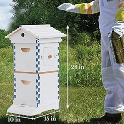 ACORNS Bee Hive Box Starter Kit, with 4 Beehive
