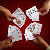 D.A.Y. Republic Professional Plastic Coated Poker Size Playing Cards 52+2 Jokers view 5