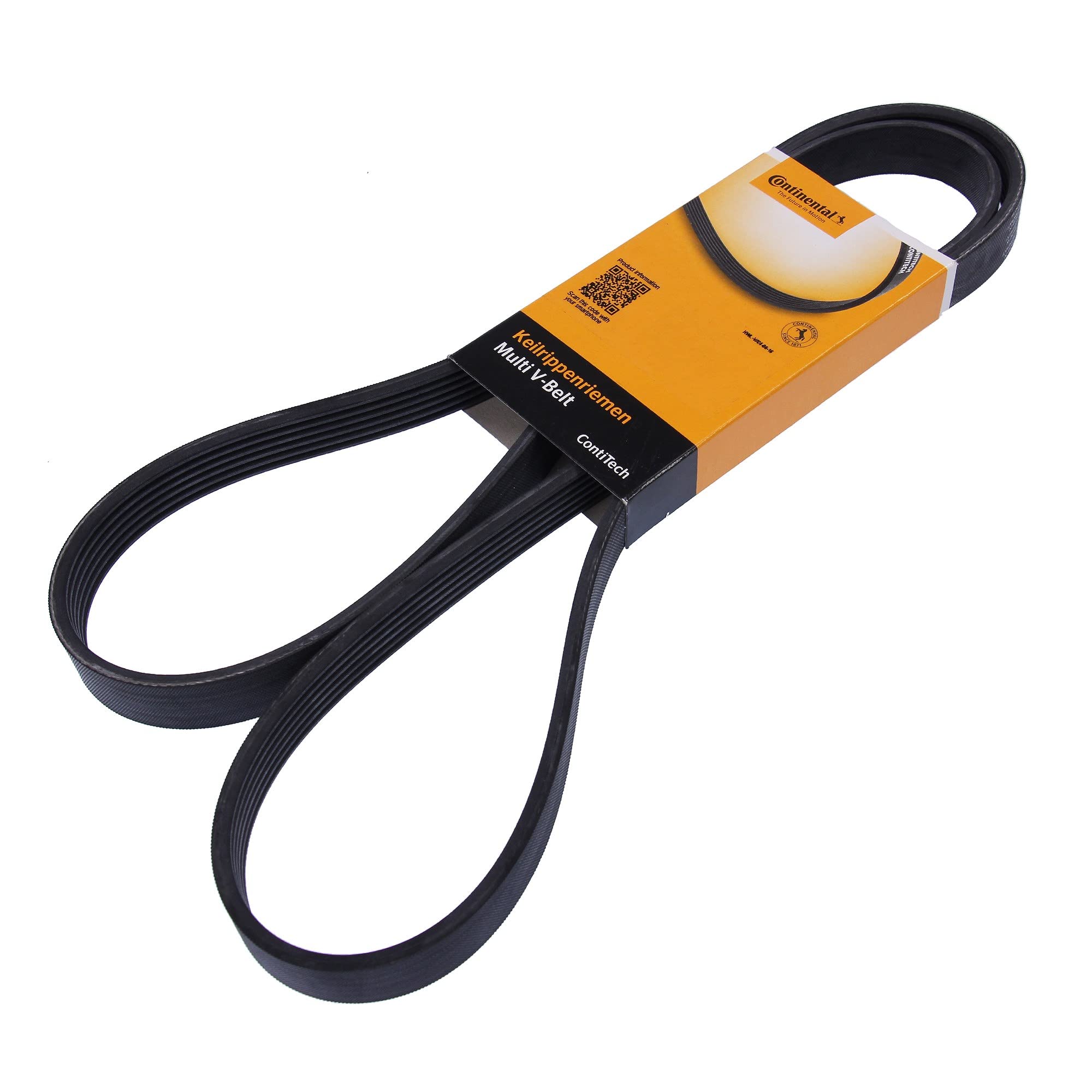 6PK1555 CONTITECH DRIVE BELT OE QUALITY, Black/White