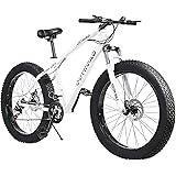 PanAme 21 Speed Fat Tire Adult Mountain Bike, 26-inch Wheel Bicycle, 4-inch Wide Tire, Steel Frame, Front and Rear Brakes