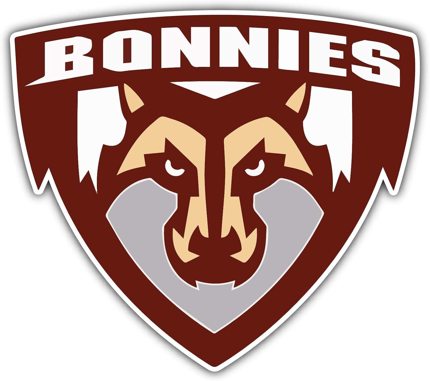 St Bonaventure Bonnies College Ncaa Car Bumper Vinyl Sticker Decal 4 6 Nozztra Com