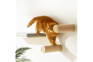 CALLICO HAVEN 2-Pack Sisal Wall-Mounted Cat Climbing Wall Steps, Cat Wall Steps/Stairs with Sisal Scratching Surface, Wall Shelf Furniture for Climbing & Play for Kittens & Cats, Hidden Mounts