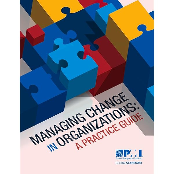 ビジネス・経済 Organizational change and management Amazon.com: Managing Change in Organizations: A Practice
