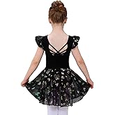 Mecceos Girls Ballet Leotard with Skirt Toddler Dance Dresses Criss-Cross Hollow Back Ruffle Butterfly Sleeve Ballerina