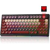 Typehaven MT75 Lipstick Wireless Gaming Mechanical Keyboard, Screen &amp; Knob | Hot-Swap Support, Gasket Structure, Creamy Pre-Lubed Switches, MOA Jelly Keycaps, RGB Backlight, BT5.0/2.4G/USB-C Modes