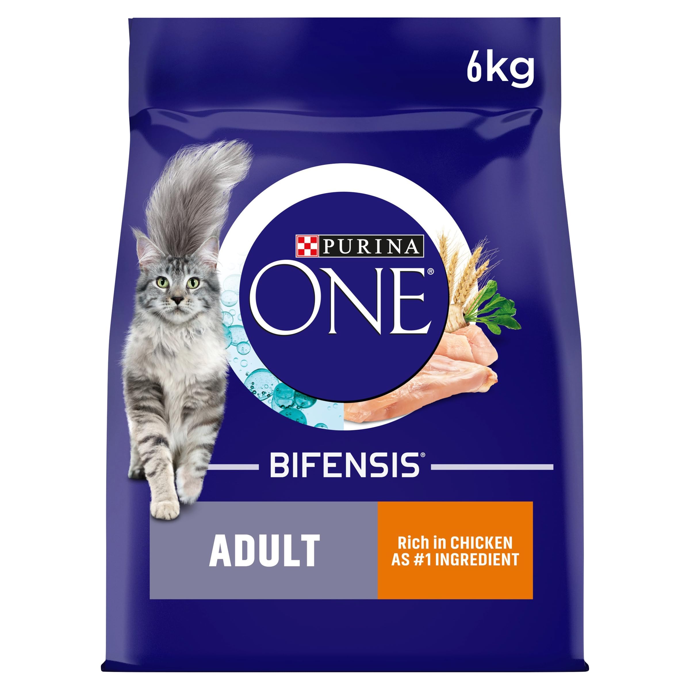 PURINA ONE Chicken Dry Cat Food 6kg