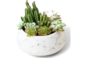 La Jolie Muse Large Succulent Planter Plant Pots, Ceramic Indoor Outdoor Garden Pot W/ Drainage for Plant Flower, 8 Inch, Splash Ink & Sandy Beige