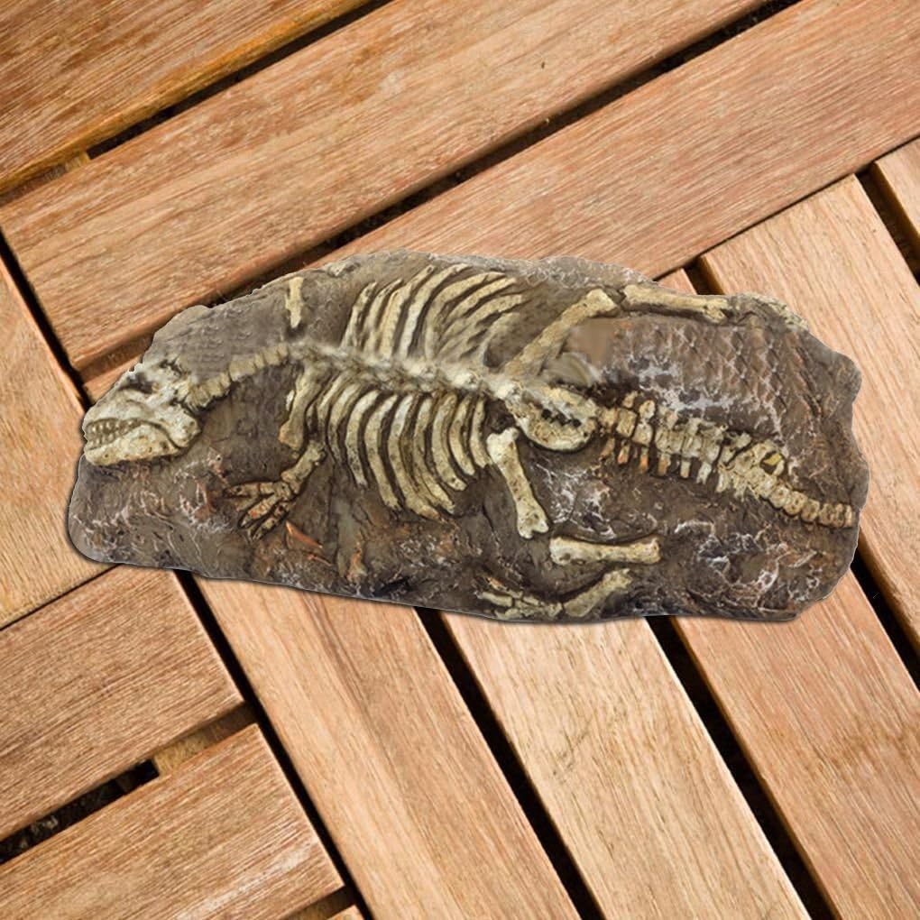 irene inevent Resin Rock Aquarium Dinosaur Dragonfly Fossil Ornament Decor Pet Supplies Aquarium Decoration for Fish Tank