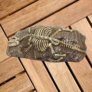 irene inevent Resin Rock Aquarium Dinosaur Dragonfly Fossil Ornament Decor Pet Supplies Aquarium Decoration for Fish Tank