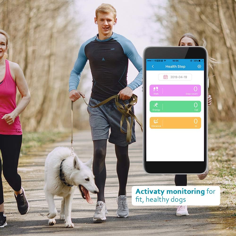 dog walking tracker app