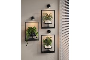 Bamworld Plant Stand with Lights Wall Planters for Indoor Plants Hanging Planter for Indoor Plants Plant Stand Indoor Wall Decor 3 Pack for Living Room Outdoor Entryway（3 spotlights）