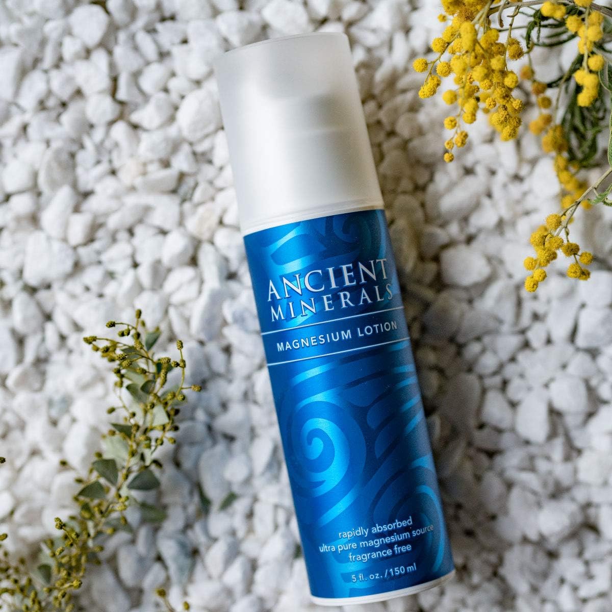 Ancient Minerals Magnesium Lotion of Pure Genuine Zechstein Magnesium Chloride - Best used for Topical Skin Application on Sensitive Skin (5oz) : Beauty