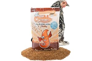 Chubby Dried Mealworms | 6.8 kg | High Protein Non GMO Insect Treat for Wild Birds, Chickens & Backyard Feeders