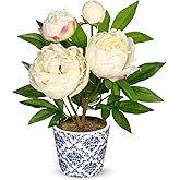 Briful Faux Peony Flowers in Blue and White Ceramic Pot 13.8" Realistic Silk Peonies Artificial Peony Floral Arrangement Fake Potted Flowers for Home Office Room Desk Shelf Decoration(White)