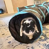 Bemodst S-Type Cat Tunnel 2/3/4/5-Way Collapsible Small Animal Maze view 4