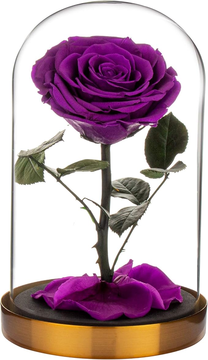 LiuMoly Eternal Rose Made from Real Rose Last for Years