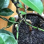 Review Image by Danish Tom Danish Tom