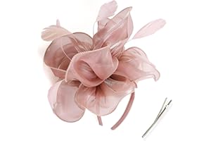 KalluliCC Blushpink Fascinators Hat for Women Tea Party, Derby Hat Cocktail, Wedding, Fancy Dress Party with Mesh Ribbons Fea