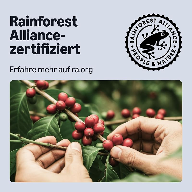 Intenso Aluminium-Kaffeekapseln, kompatibel mit Nespresso, Dark Roast, 100 Stück (5 Packungen mit je 20 Stück) – Rainforest Alliance zertifiziert