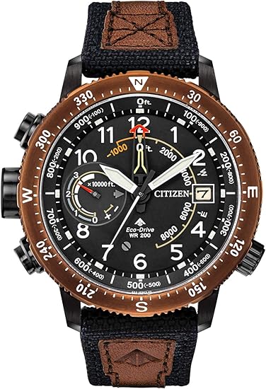 Amazon 並行輸入品 Citizen シチズン プロマスター エコドライブ アルティクロン Bn5055 05e 腕時計 メンズ 逆輸入 アナログ ソーラー ブラウン 茶 ブラック 黒 海外モデル メンズ腕時計 腕時計 通販 Amazon 並行輸入品 Citizen シチズン プロマスター エコドライブ アルティクロン Bn5055 05e 腕時計 メンズ 逆輸入 アナログ ソーラー ブラウン 茶 ブラック 黒 海外モデル メンズ腕時計 腕時計 通販