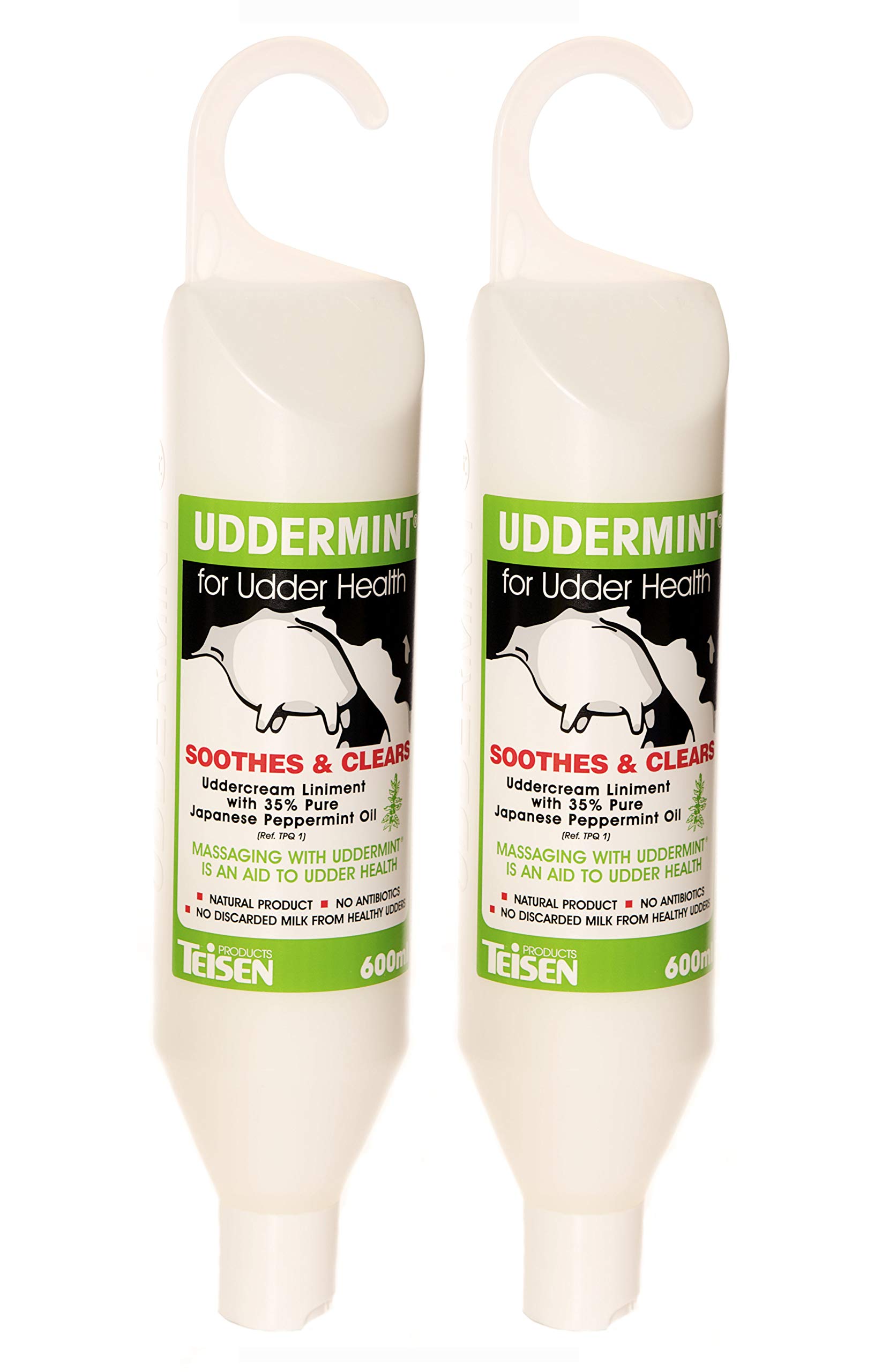 Teisen Uddermint 2 x 600ml