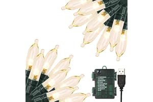 Green Convenience Christmas Lights 33ft 100 LED Battery String Lights with Timer Memory Function USB or Battery Powered Waterproof String Lights for Indoor Outdoor Decoration