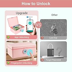 Fingerprint Storage Box Portable Locking Storage