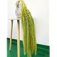 5 Pieces Amaranthus Flower Dried Preserved Bleached Wisteria Hanging Vine Flowers for Wedding Bouquet Home Wall Decor (Deep Green)
