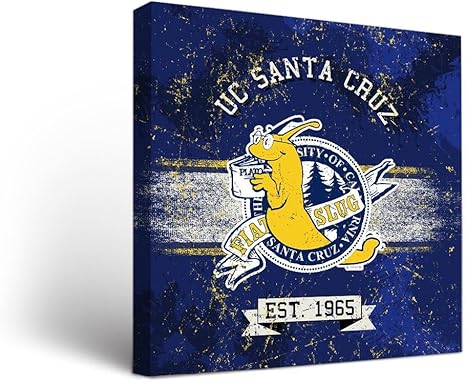 Amazon Com Victory Tailgate California University Of Santa Cruz