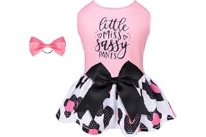 CuteBone Dog Mesh Dress Puppy Sundress Pet Outfit Summer Fashion for Small Dogs Girl Cat Clothes BF30M-D