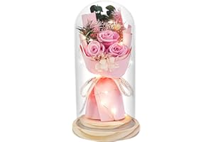 HVY Preserved Flowers Gifts for Her,Preserved Rose Bouquet in Glass Dome,Forever Flowers Fresh Bouquet Present for Women Mothers Day Birthday Gifts for Mom Wife Grandma,Pink Real Rose