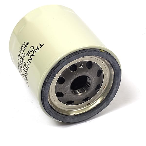 Amazon.com : Briggs and Stratton Mower Oil filter : Lawn Mower 