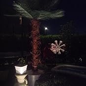 Künstliche Palme für den geschützten Aussenbereich, ca. 2m hoch: Amazon