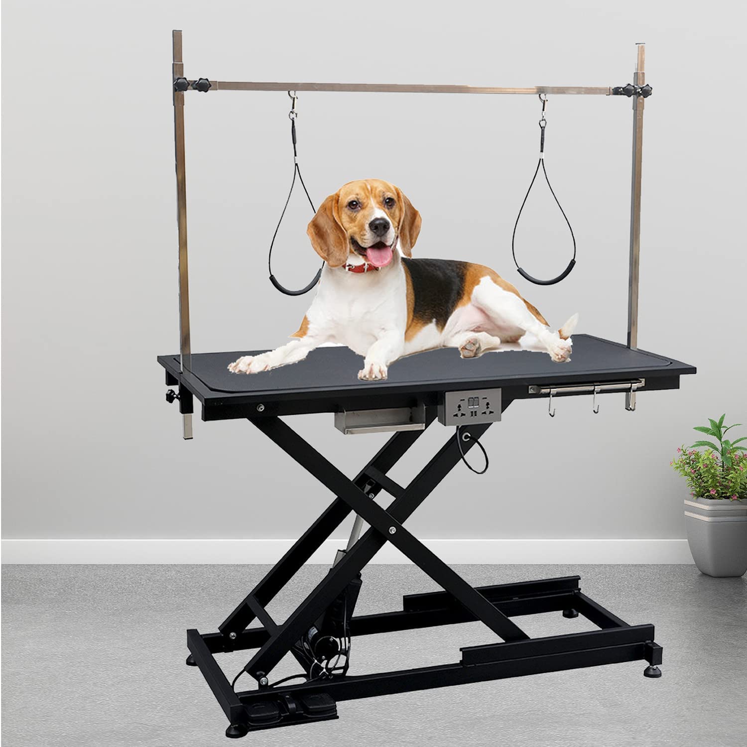 Gallery Detail: Mua Afqxf Electric Lift Pet Grooming Table Heavy Duty Professional
