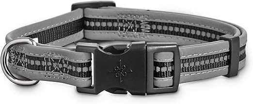 griffon petit basset