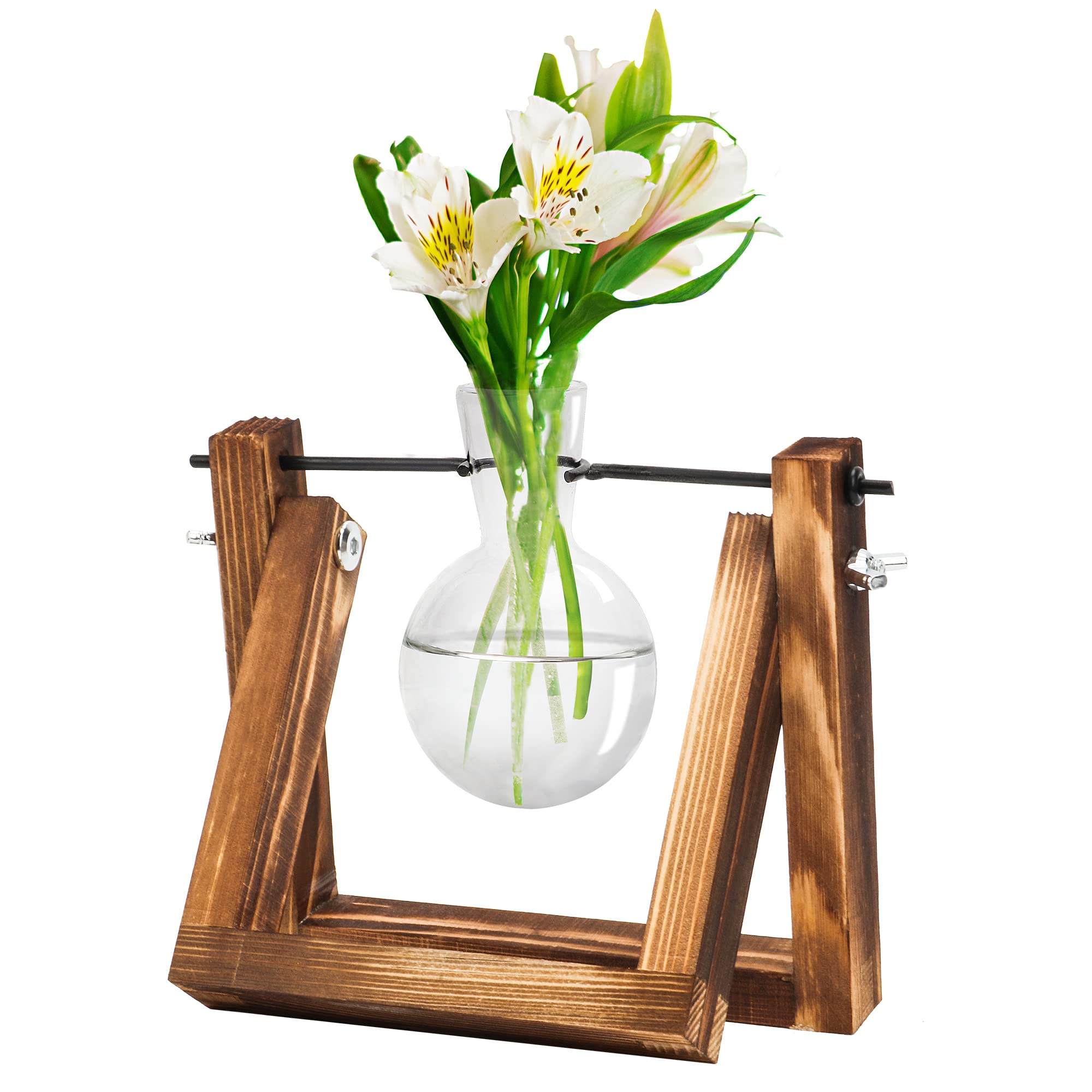 Planter Terrarium with Retro Wooden Stand Desktop Air Planter Propagation Stations Heart Bulb Glass, Hydroponics Plants for Home Garden Office Wedding Decor (1 Glass)