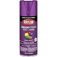 12 oz Krylon K05536007 Rich Plum COLORmaxx Paint & Primer Spray Paint, Gloss