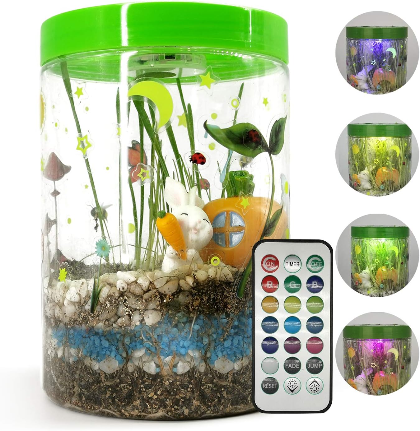 Lightup Terrarium Kit for Kids with LED Light on Lid STEM Educational