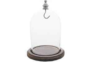 DUEBER WATCH CO 3"x4" Pocket Watch Glass Display Dome Cloche with Real Walnut wood Base & Silver hook
