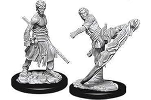 WIZKIDS D&D Nolzur's Marvelous Miniatures - Male Half-Elf Monk