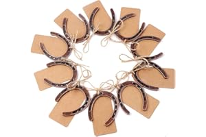 OurWarm 30PCS Good Lucky Horseshoe Wedding Favors for Guests, Vintage Craft Metal Horseshoe Decor with Kraft Gift Tags for Rustic Wedding Birthday Kentucky Derby Party Decorations