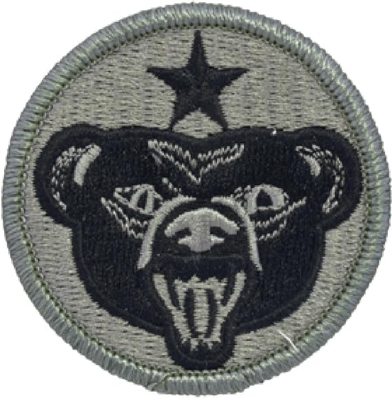 Army Alaska Patch 4 US Army Alaska ACU Patch Foliage Green Military Apparel