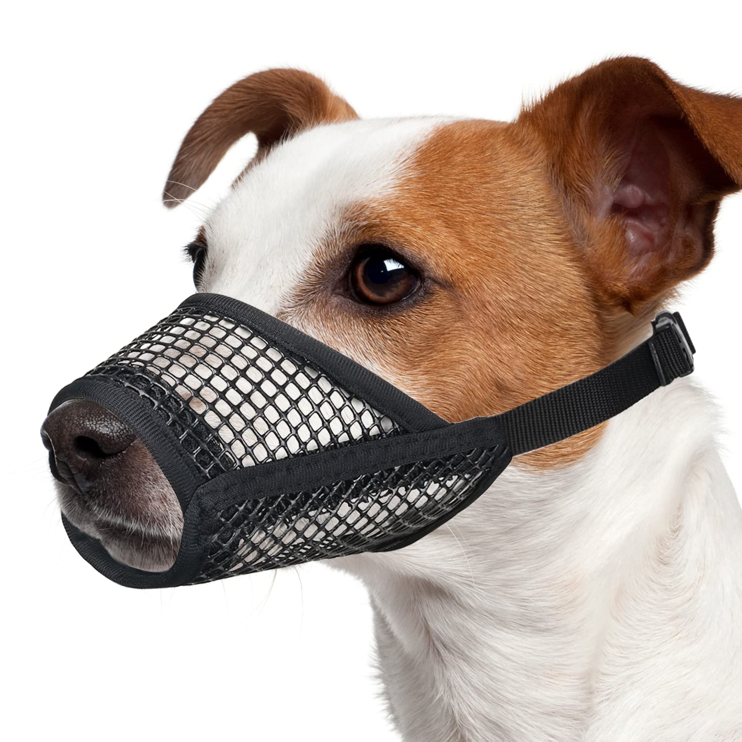 Photo 1 of Mayerzon Dog Muzzle, Soft Mesh Muzzles for Small Medium Large Dogs Chihuahua Poodle Husky Labrador Retriever, Breathable Dog Mouth Guard for Biting Chewing Grooming, Allow Panting Drinking(M, Black)