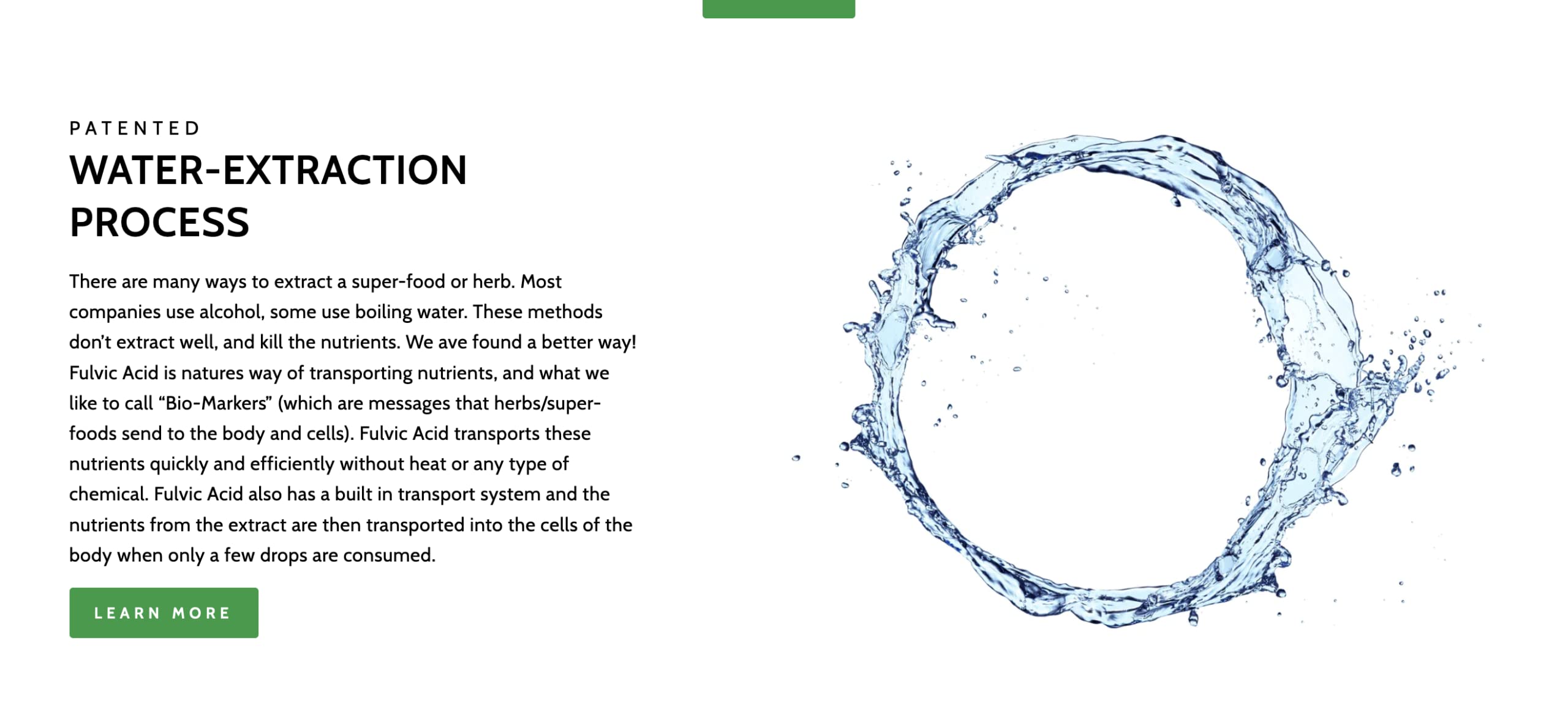 Raw Earth Live Turmeric Root Extract - Organic Ingredients - Alcohol Free - BioActive Curcumin Liquid Drops - Patented Process with Fulvic Mineral Transport System