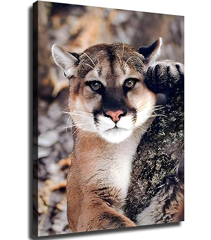 Amazon.com: Impact Posters Gallery Picture Wall Decor - Wild